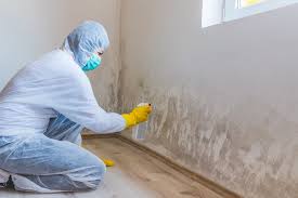 Mold Odor Removal Services in Chickasha, OK